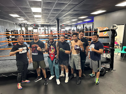 TOP TIGER TEAM BOXING - 2417 n tryon st, unit A, B and C, Charlotte, NC 28206