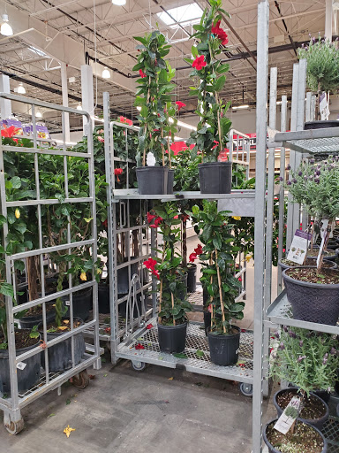 Shopping Mall «Seaview Square Shopping Center», reviews and photos, 1000 NJ-66, Ocean Township, NJ 07712, USA