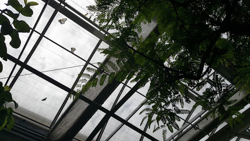 Animal Protection Organization «Butterfly Pavilion», reviews and photos, 6252 W 104th Ave, Westminster, CO 80020, USA