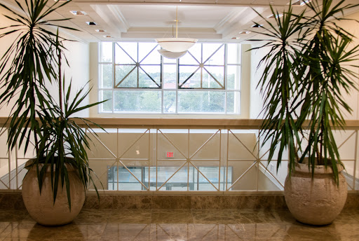 Personal Injury Attorney «Morgan & Morgan», reviews and photos