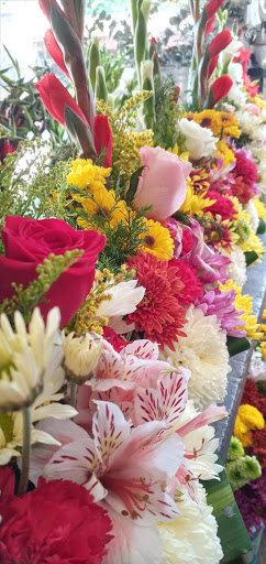 FLORERIA DIAVALE florería en  en la zona Centro