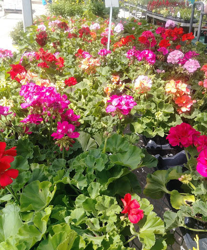 Florist «Robben Florist & Garden Center», reviews and photos, 352 Pedretti Ave, Cincinnati, OH 45238, USA