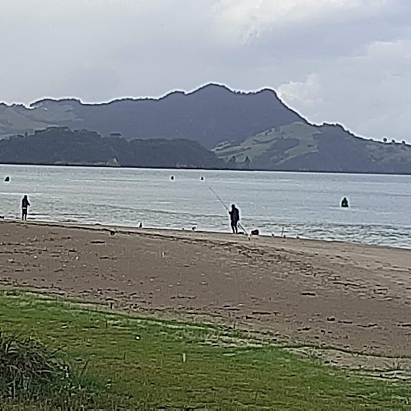 Whitianga Wharf