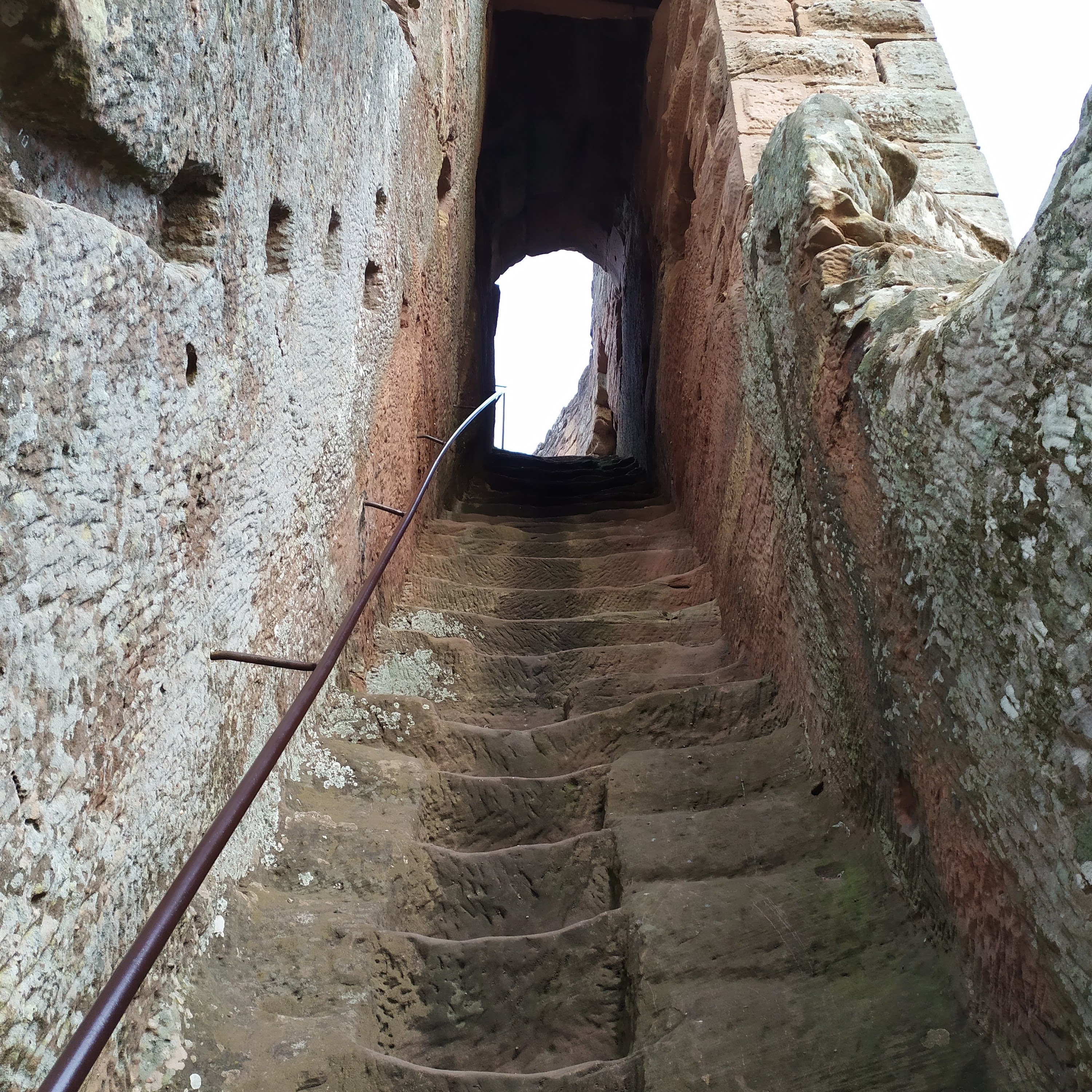 Photo n° 13 de l'avis de Toto.i fait le 21/03/2021 à 20:20