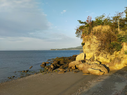 島原半島世界ジオパーク 龍石海岸