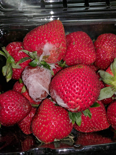 Grocery Store «Safeway», reviews and photos, 525 El Camino Real, Millbrae, CA 94030, USA