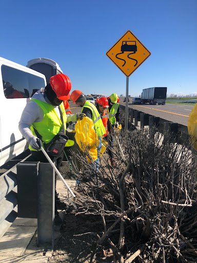 Produce Market «Yolo Fruit Stand», reviews and photos, 46710 Co Rd 32B, Davis, CA 95618, USA