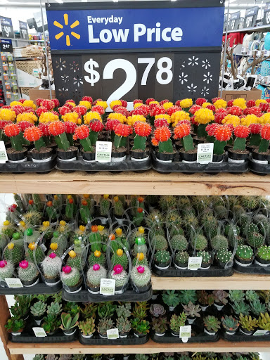 Department Store «Walmart Supercenter», reviews and photos, 27650 State Hwy 249, Tomball, TX 77375, USA