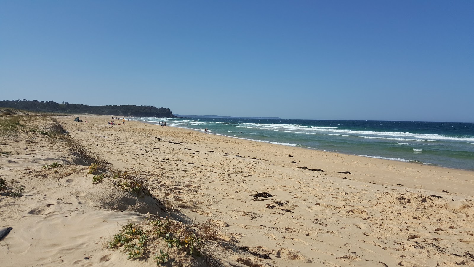 Φωτογραφία του Rosedale Beach με φωτεινή άμμος επιφάνεια