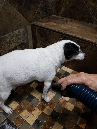 Pet Store «Pet Valu», reviews and photos, 2231 Old Bridge Rd, Lake Ridge, VA 22192, USA