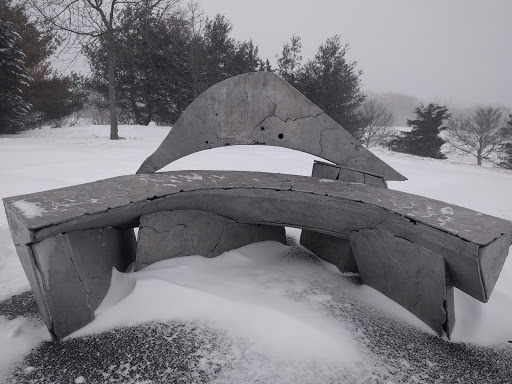 Park «Danehy Park», reviews and photos, 99 Sherman St, Cambridge, MA 02138, USA