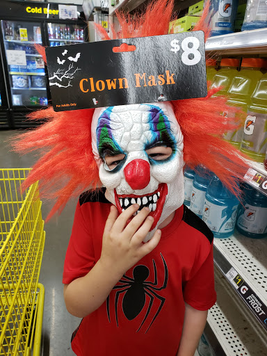 Discount Store «Dollar General», reviews and photos, 401 Brushy Creek Rd, Taylors, SC 29687, USA