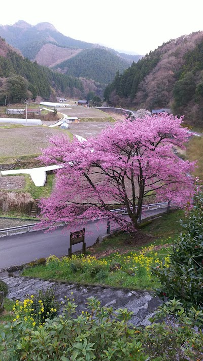 円明寺