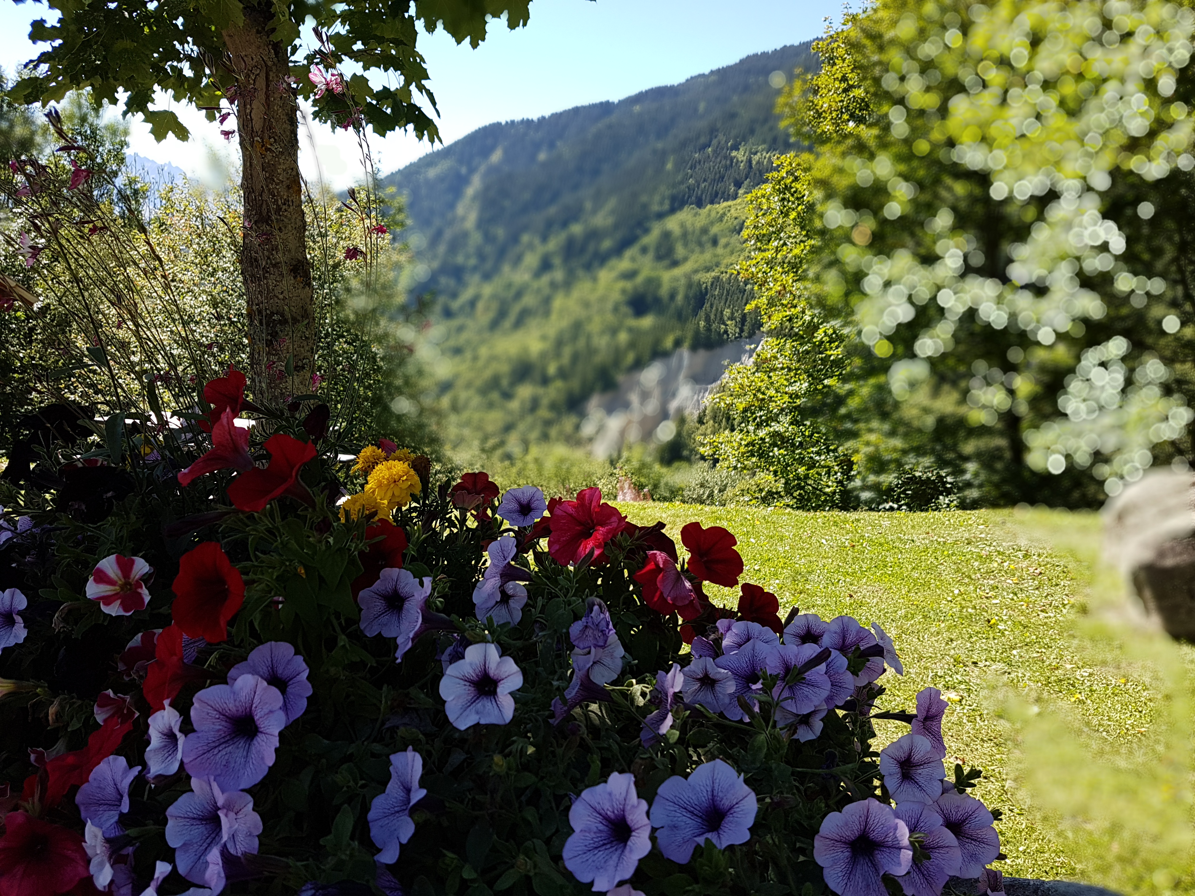Photo n° 5 de l'avis de samir.� fait le 24/08/2017 à 07:30