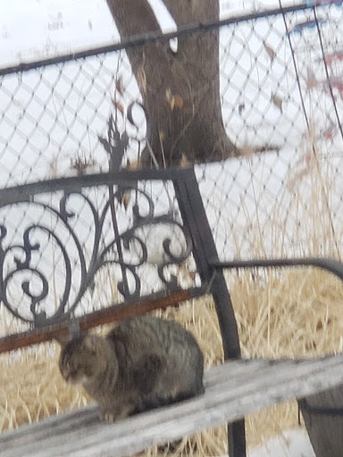 Clothing Store «Ross Dress for Less», reviews and photos, 11310 W Florissant Ave, Florissant, MO 63033, USA