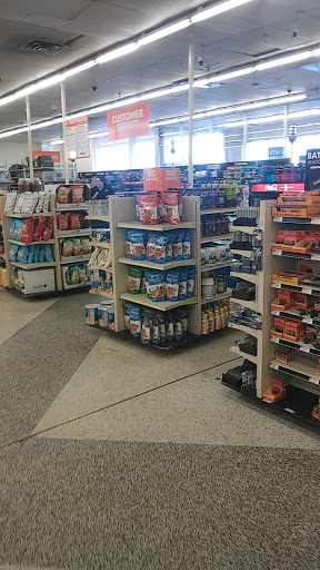 Discount Store «Big Lots», reviews and photos, 2412 S Volusia Ave, Orange City, FL 32763, USA