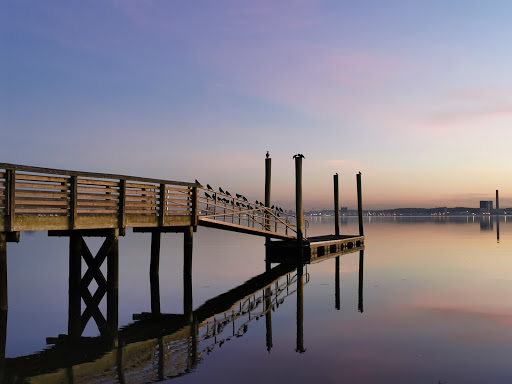 Nature Preserve «Sandy Point Bird Sanctuary», reviews and photos, Beach St, West Haven, CT 06516, USA