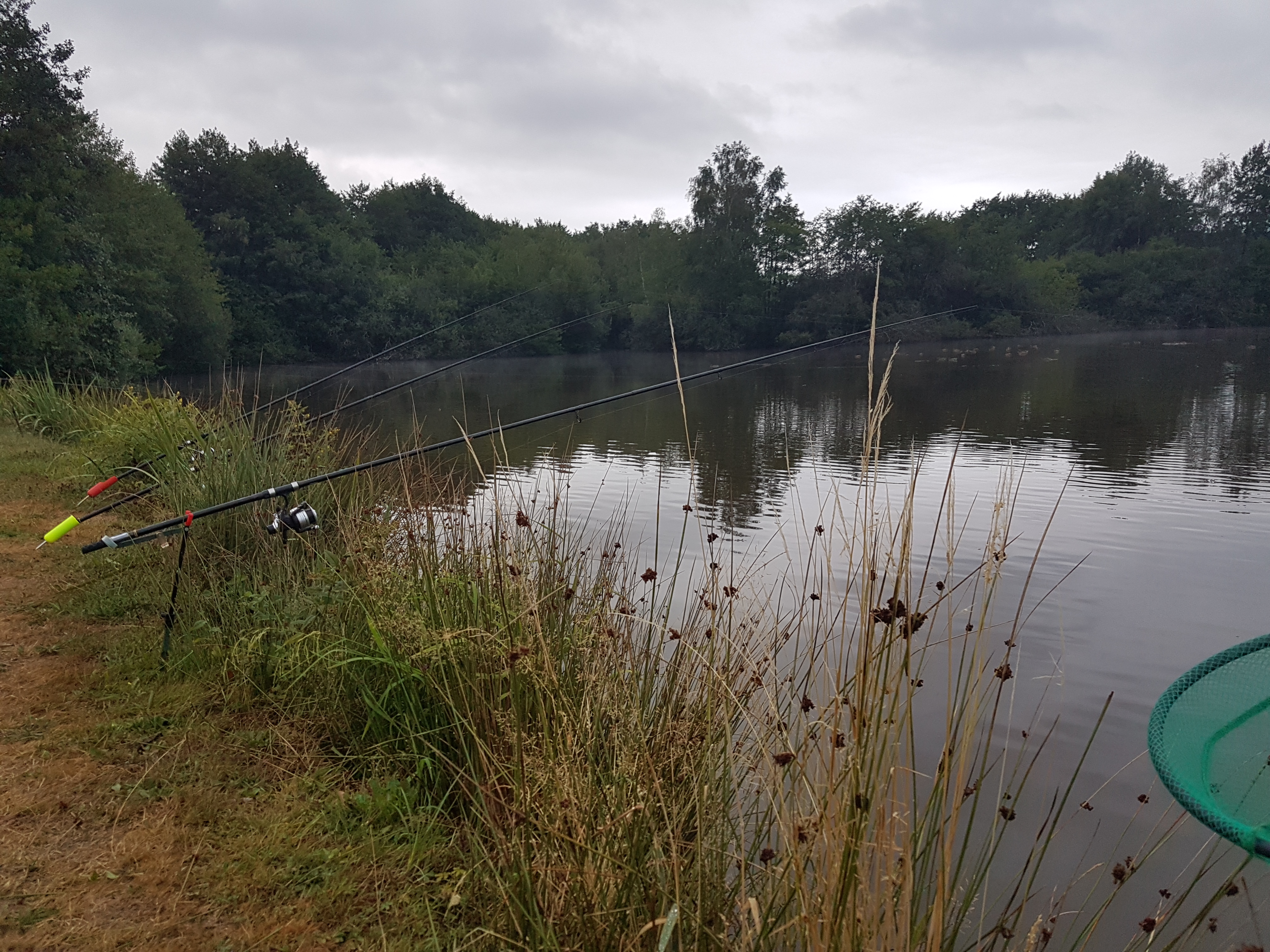 Photo n° 2 de l'avis de Vincent.o fait le 19/08/2018 à 15:48