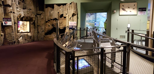 Natural History Museum «Burke Museum of Natural History and Culture», reviews and photos, 1413 NE 45th St, Seattle, WA 98105, USA