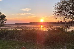 Edisto Beach State Park image