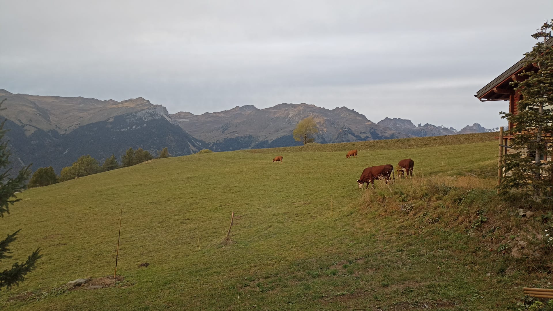 Photo n° 2 de l'avis de Ch.d fait le 22/10/2023 à 18:53