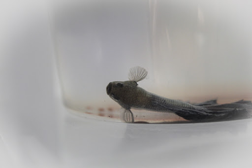 Pet Supply Store «Petco Animal Supplies», reviews and photos, 1255 Raritan Rd #140, Clark, NJ 07066, USA