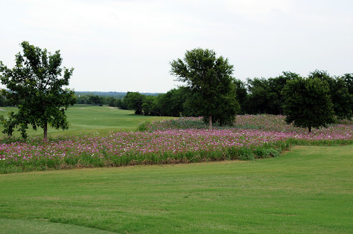 Gated Community «Gentle Creek Estates», reviews and photos, 3131 Prosper Trail, Prosper, TX 75078, USA