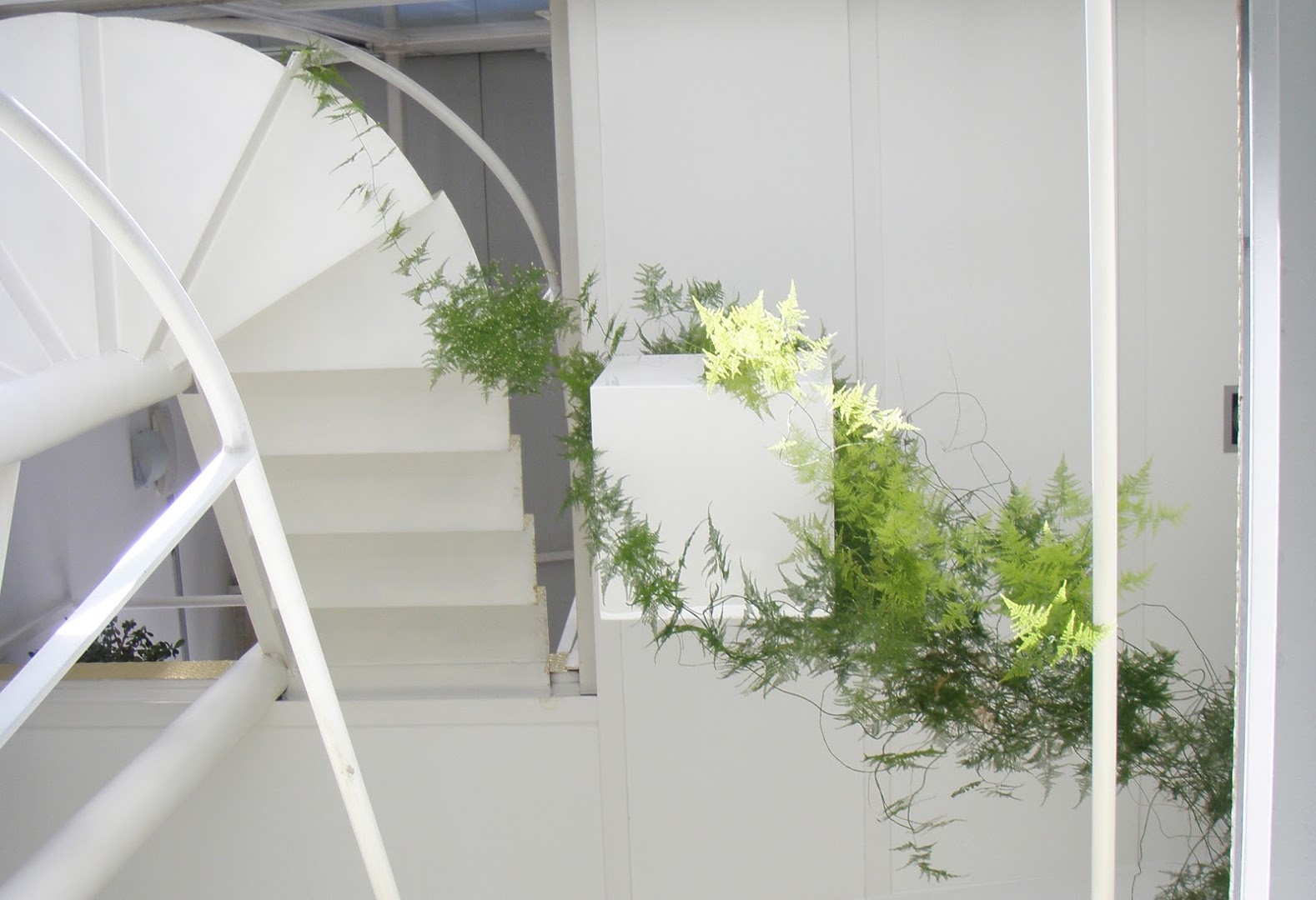 Lorenzo Alonso Arquitectos