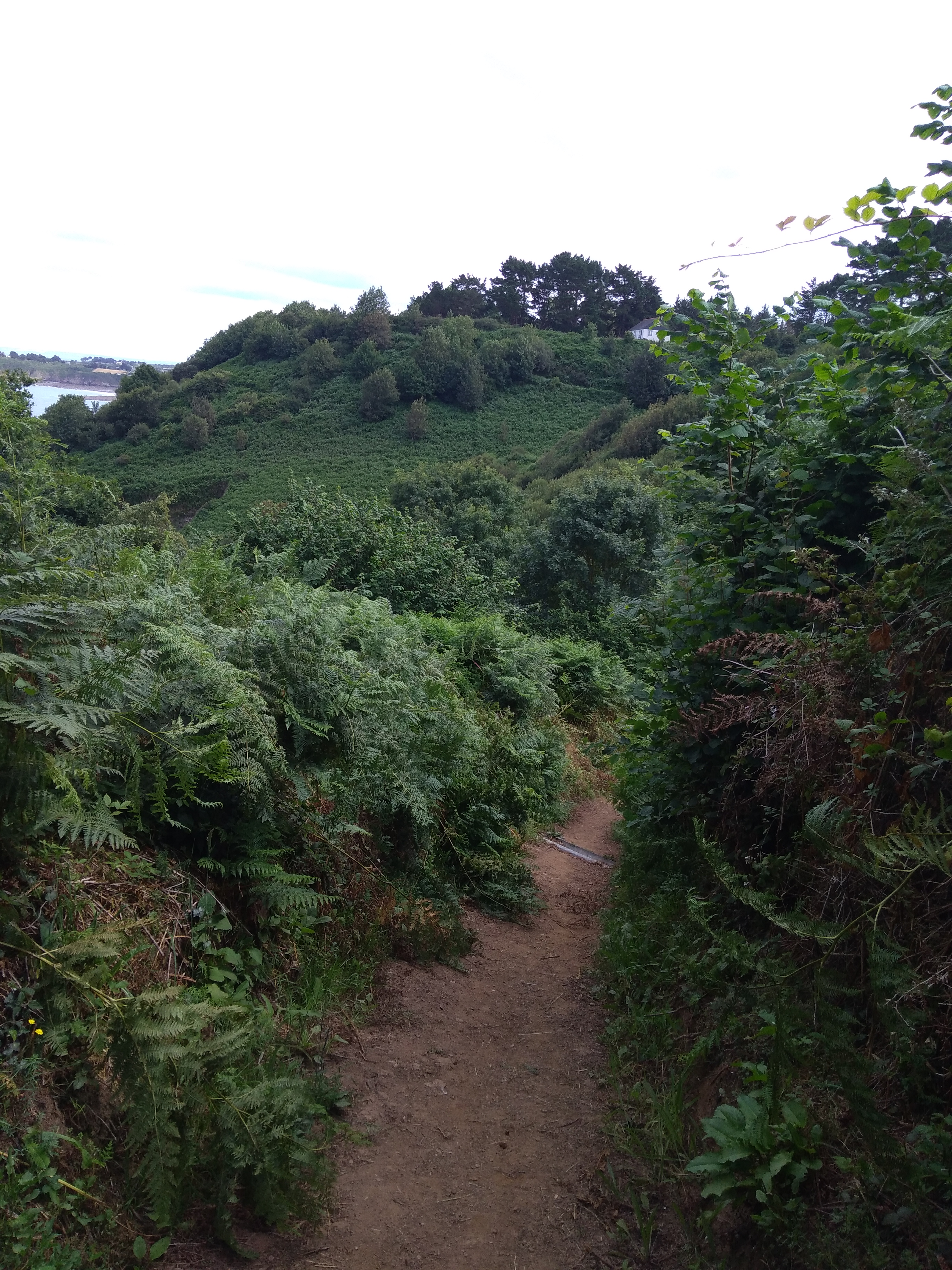 Photo n° 1 de l'avis de eric. fait le 04/08/2019 à 11:38