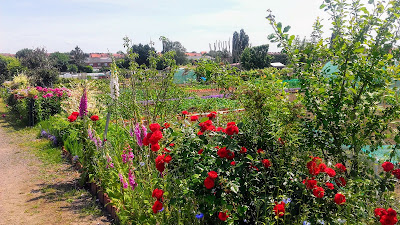 Les Jardins Florissants à Grasse
