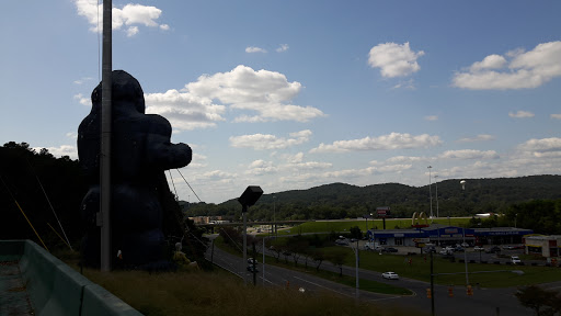 Amusement Park «Adventure Park At Grants Mill», reviews and photos, 5405 Beacon Dr, Irondale, AL 35210, USA