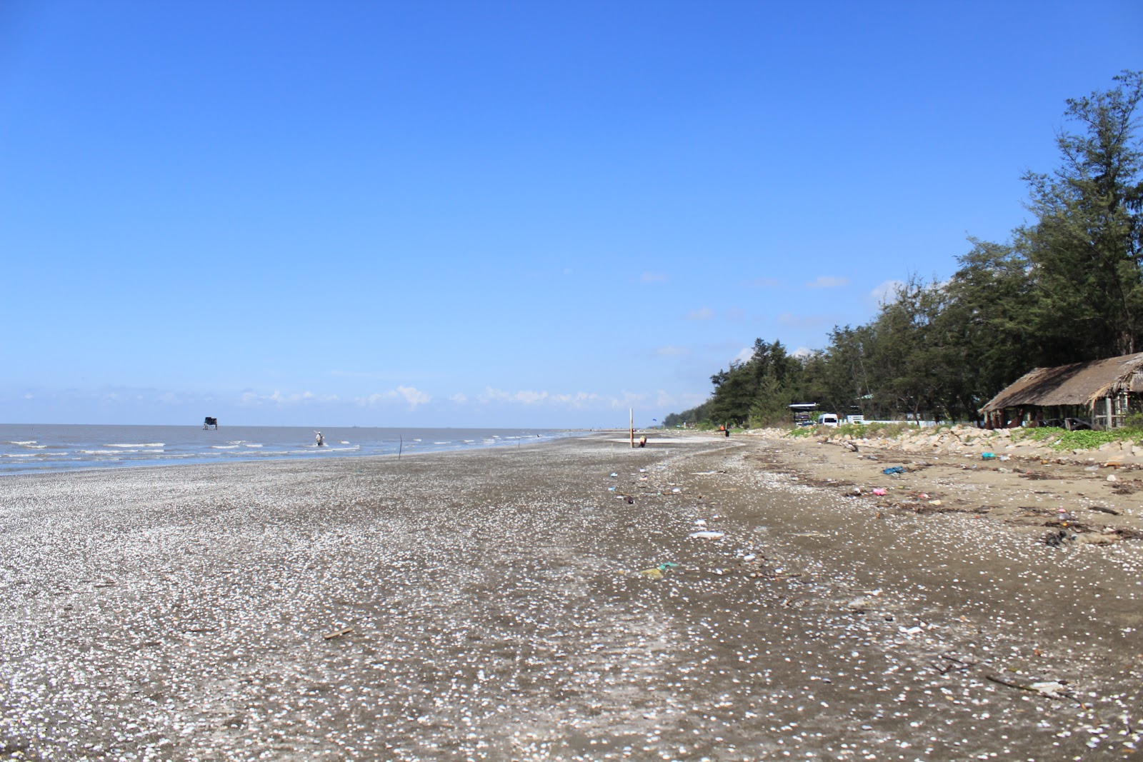 Fotografie cu Can Gio Beach amplasat într-o zonă naturală