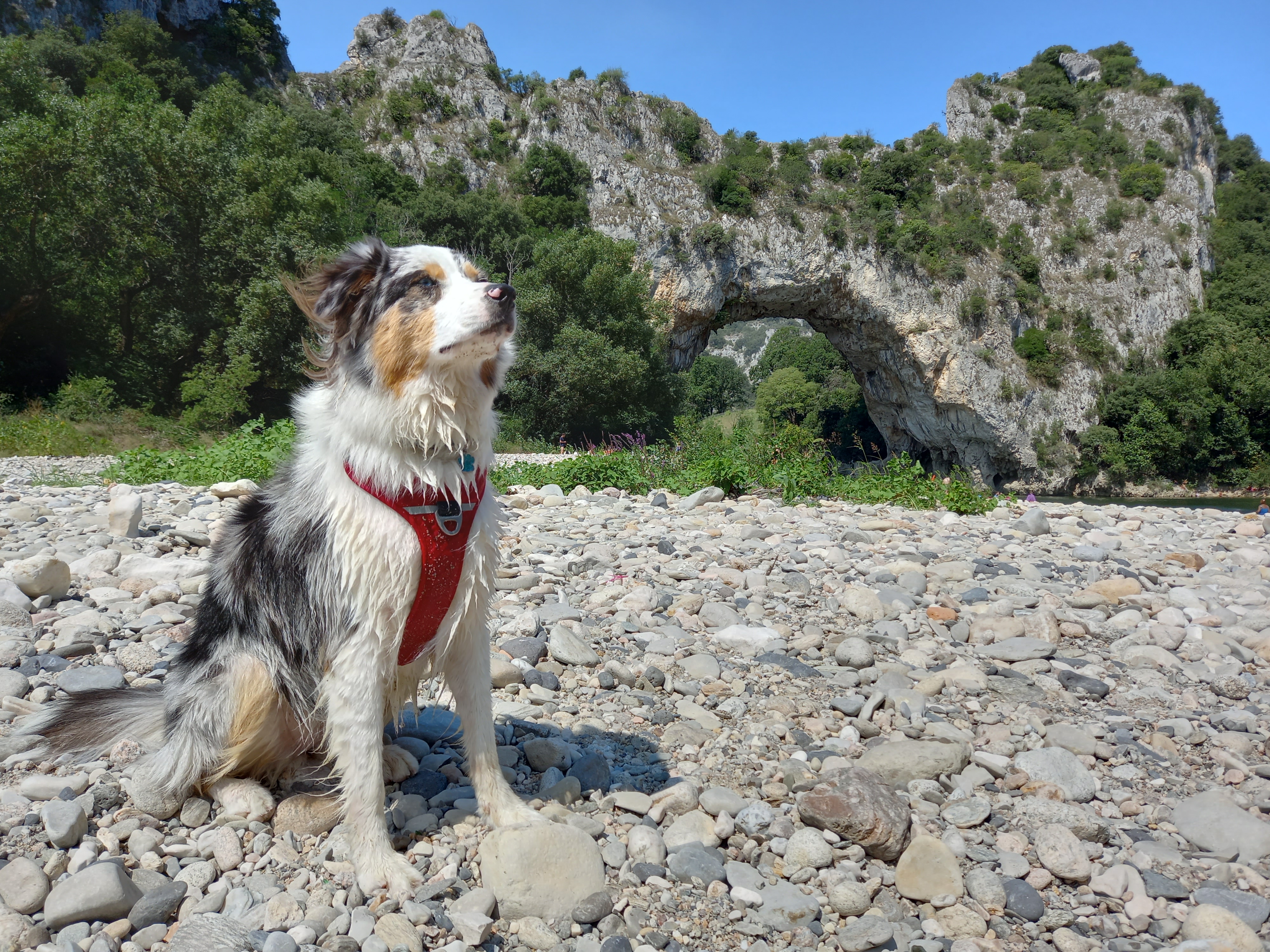 Photo n° 2 de l'avis de Sébastien.r fait le 24/08/2021 à 21:48
