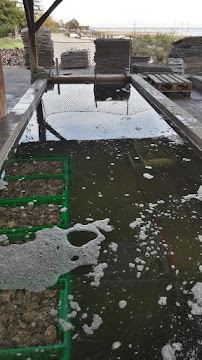 Photos du propriétaire du Bar-restaurant à huîtres La Cabane de l'Aiguillon à La Teste-de-Buch - n°5