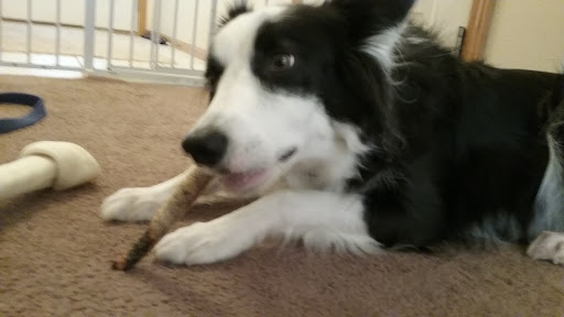 Pet Supply Store «Pet Food Plus», reviews and photos, 2819 E Hamilton Ave, Eau Claire, WI 54701, USA