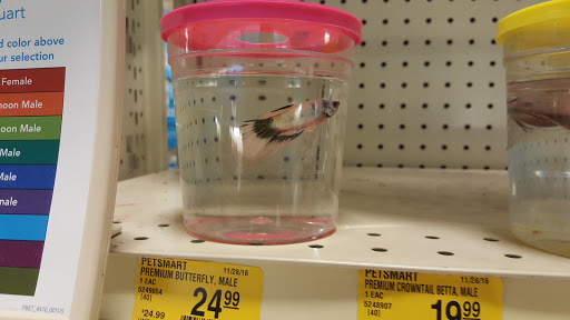 Pet Supply Store «PetSmart», reviews and photos, 1751 N Central Expy, McKinney, TX 75070, USA