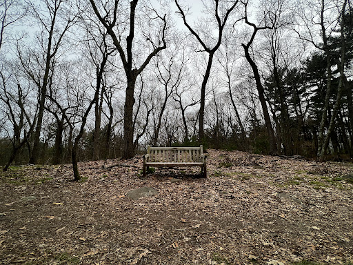 Park «Town of Arlington Menotomy Rocks Park», reviews and photos, 129 Jason St, Arlington, MA 02476, USA