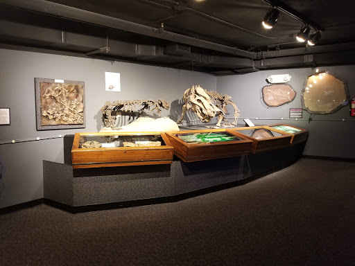 Tourist Attraction «Arizona Museum of Natural History», reviews and photos, 53 N Macdonald, Mesa, AZ 85201, USA