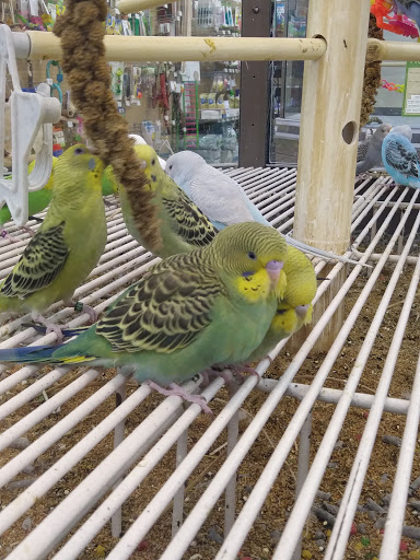 Pet Supply Store «Petco Animal Supplies», reviews and photos, 3637 2700 W, West Valley City, UT 84119, USA