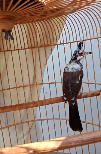 Top 20 cửa hàng chén đĩa Huyện Hóc Môn Hồ Chí Minh 2022