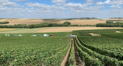 Champagne Billy-Briffoteaux à La Neuville-aux-Larris