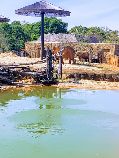 Zoo «Caldwell Zoo», reviews and photos, 2203 W Martin Luther King Jr Blvd, Tyler, TX 75702, USA