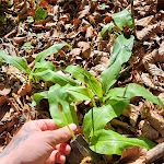 Photo n°2 de l'avis de Michel.r fait le 05/04/2024 à 22:07 sur le  Elda Hotel à Monte Sant'Angelo