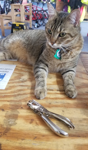 Bicycle Store «Swim, Bike & Run», reviews and photos, 153 E White St, Rock Hill, SC 29730, USA