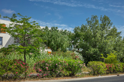 Gabiani Paysage à Perpignan
