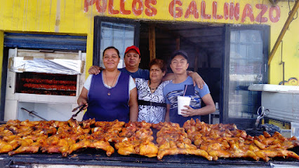 Pollos El Gallinazo - 79500, Lateral Prolongación Hidalgo 42B, Moderna, Villa de Reyes, S.L.P., Mexico