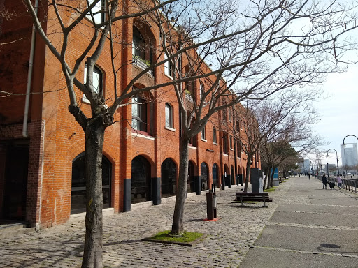 UCA- Universidad Católica Argentina