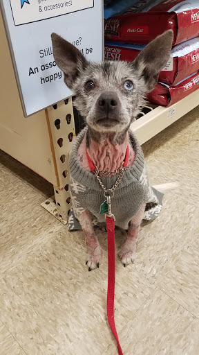 Pet Supply Store «PetSmart», reviews and photos, 10697 E US Hwy 36, Avon, IN 46123, USA