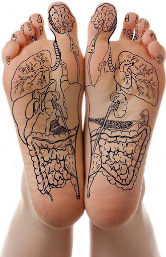 Lynn's Reflexology