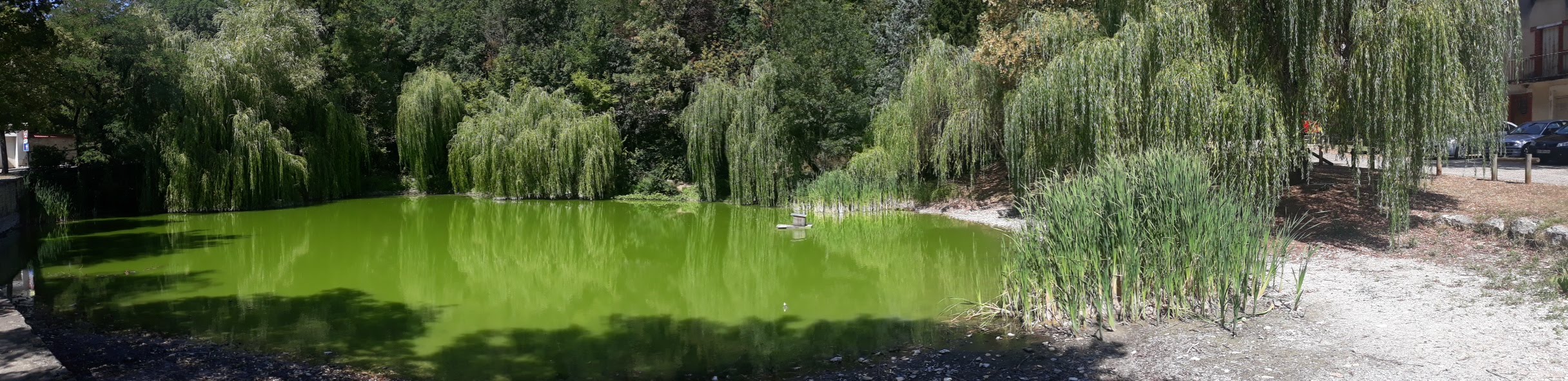 Photo n° 4 de l'avis de Singh.a fait le 30/08/2018 à 19:19